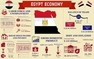 المصري، بيانات الإحصاءات الاقتصادية في 