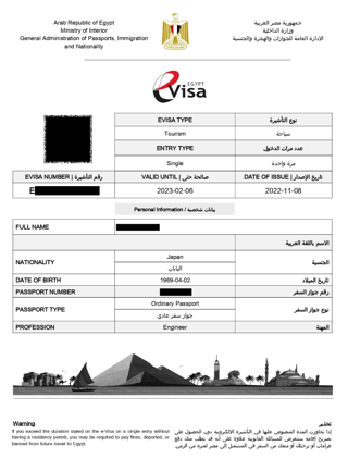 Página de muestra de visa electrónica para turistas de Egipto