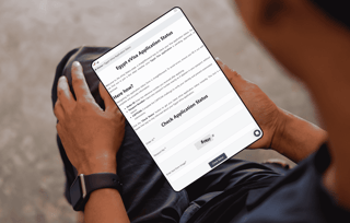 Egypt Visa for Application Status