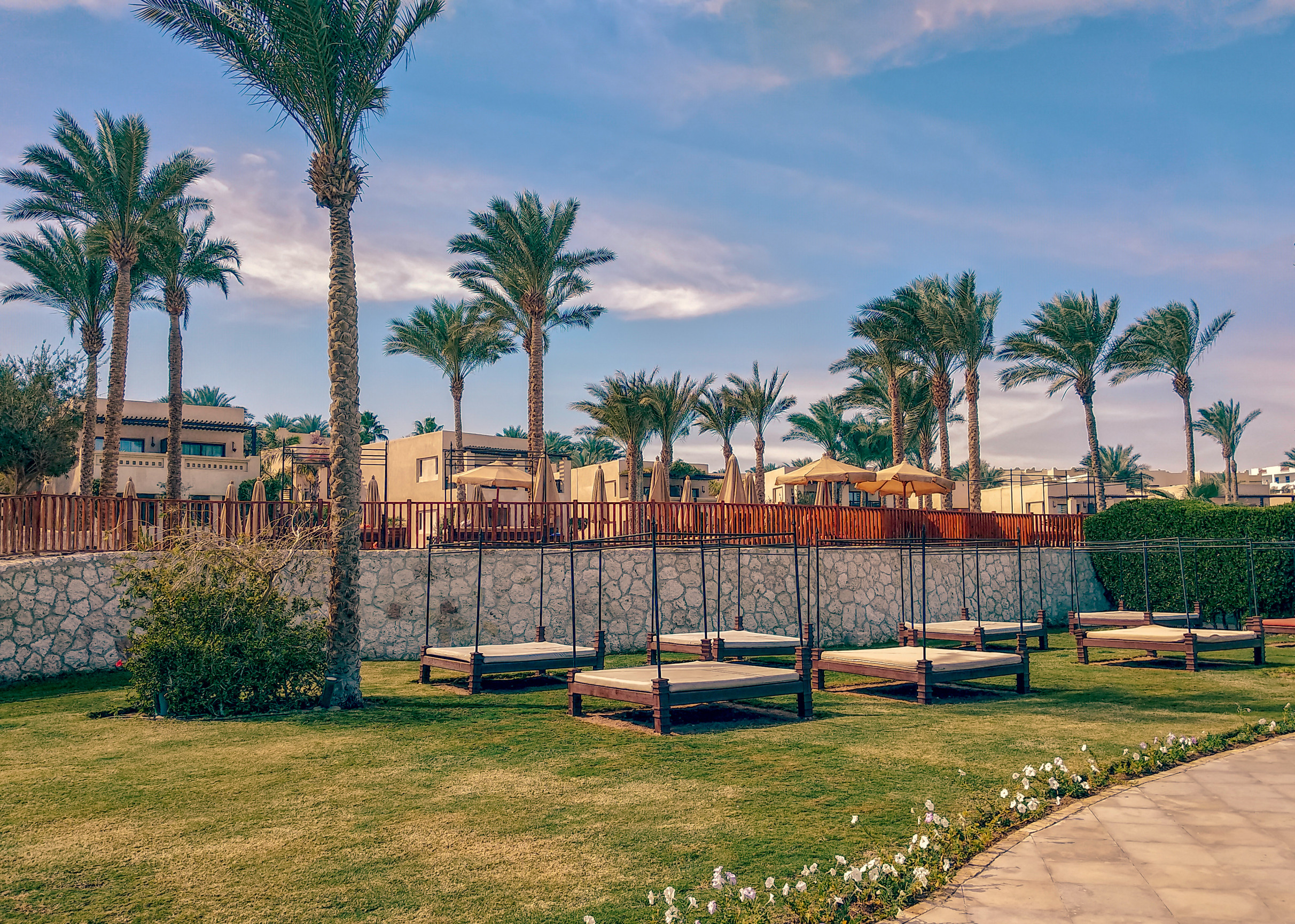 Beach beds on green lawn of the coast of Sinai, Egypt