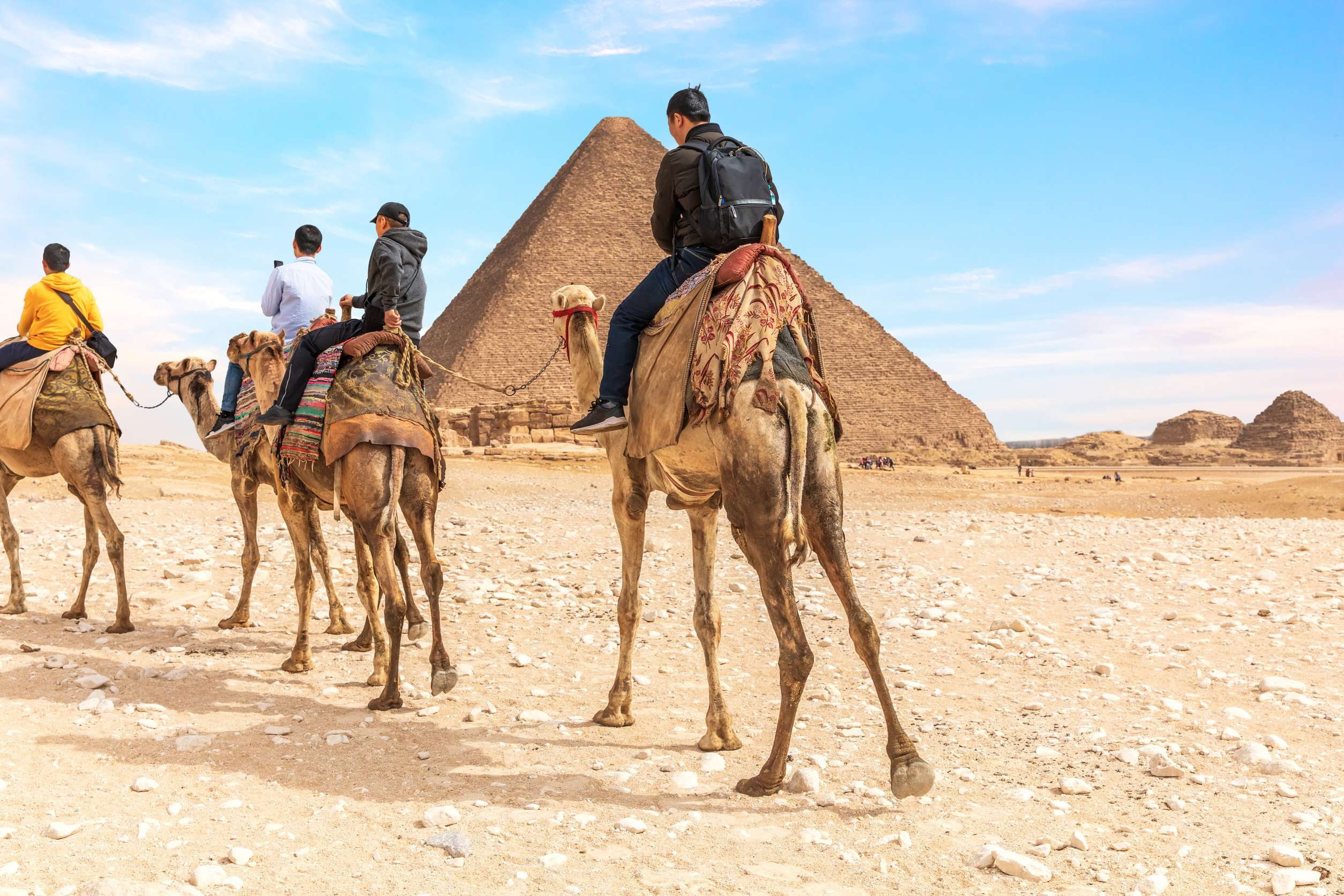 Camels riding near the Pyramids of Giza, Egypt