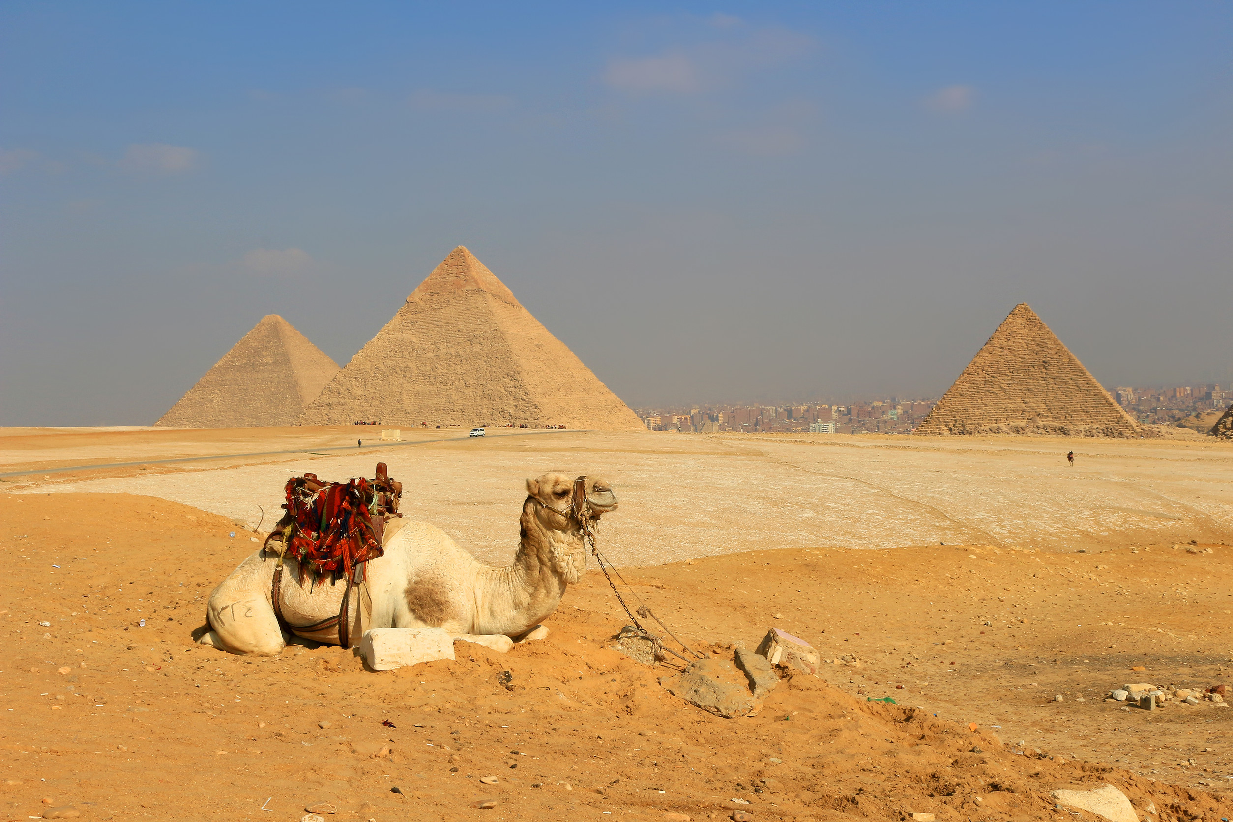 تحديثات السلامة لعام 2025 عند السفر إلى مصر