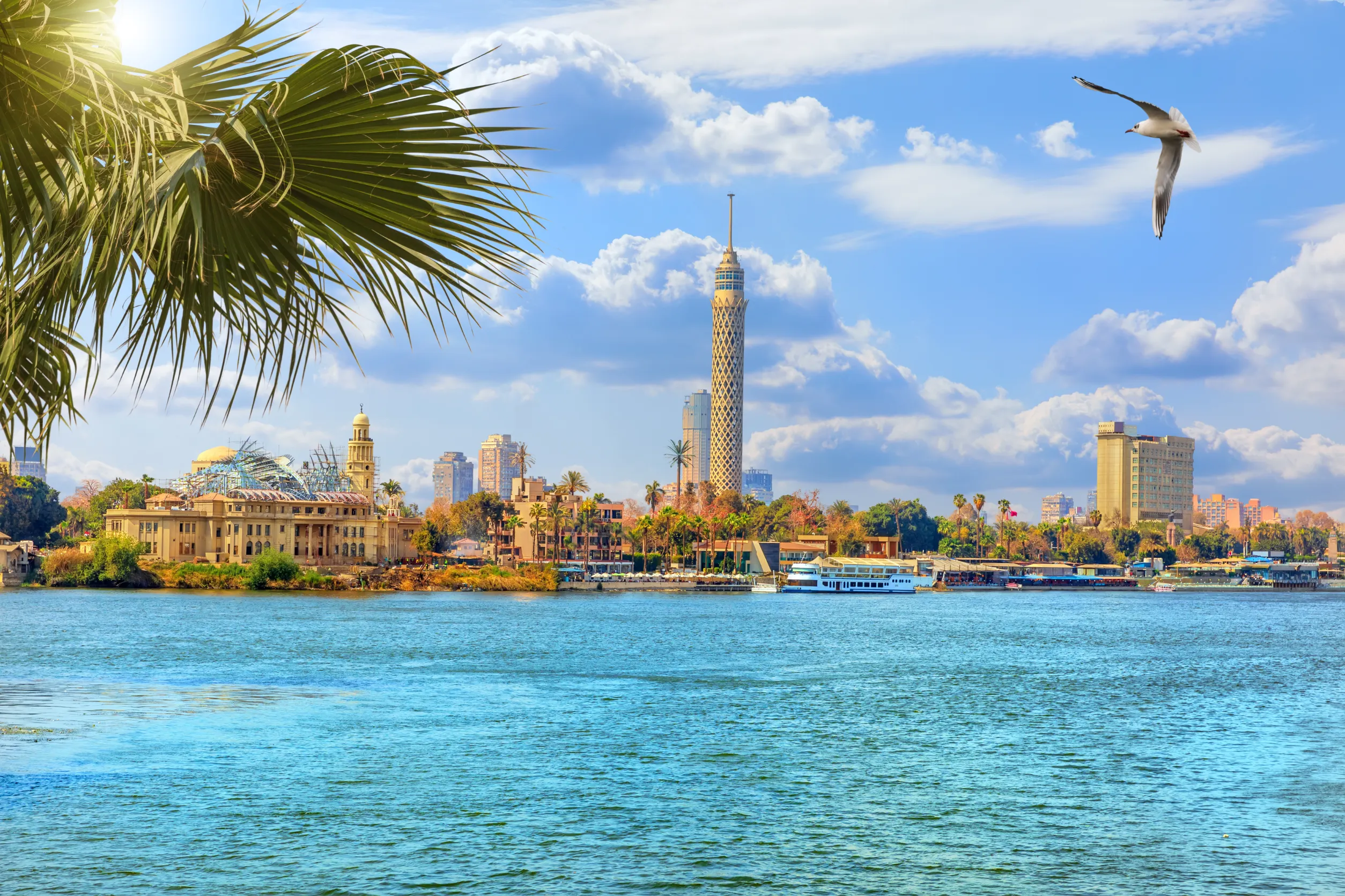 the cairo tower beautiful view from the nile river