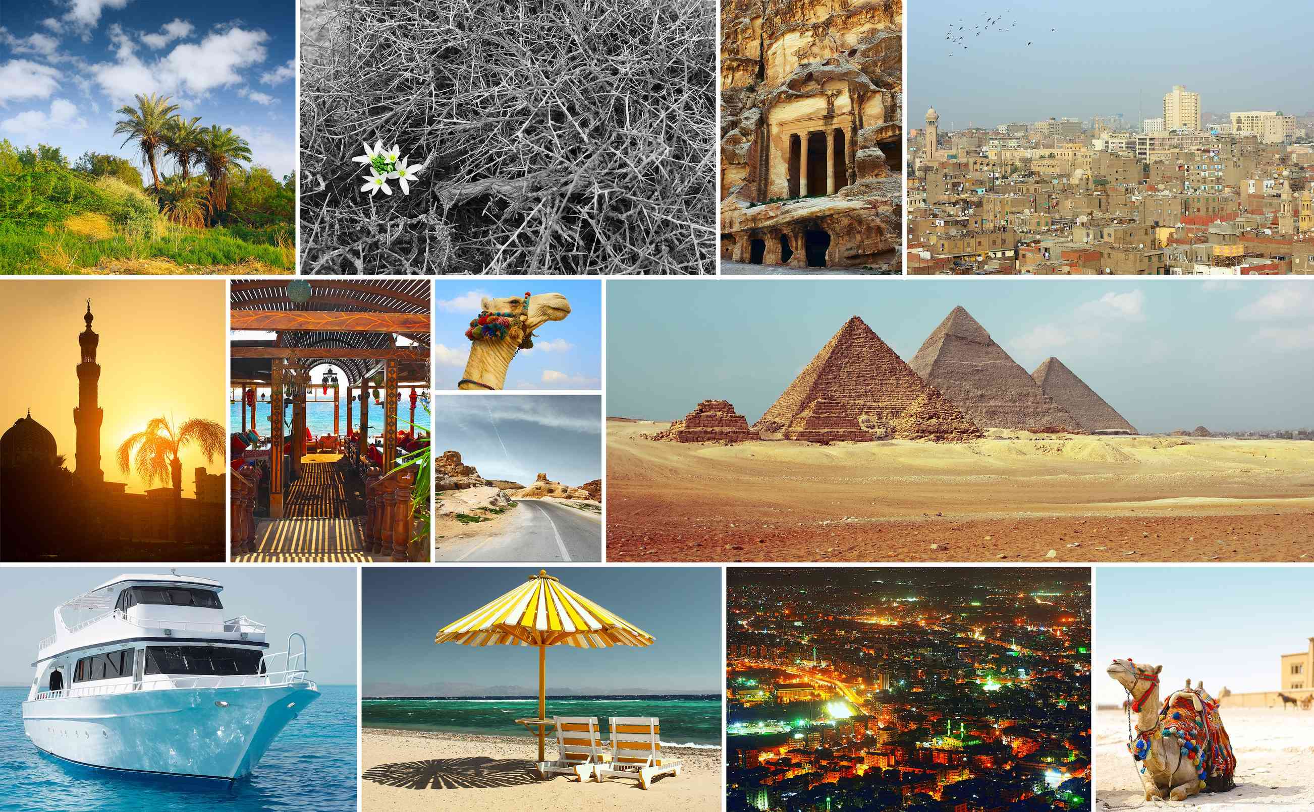 Top Things to do in Egypt Compilation