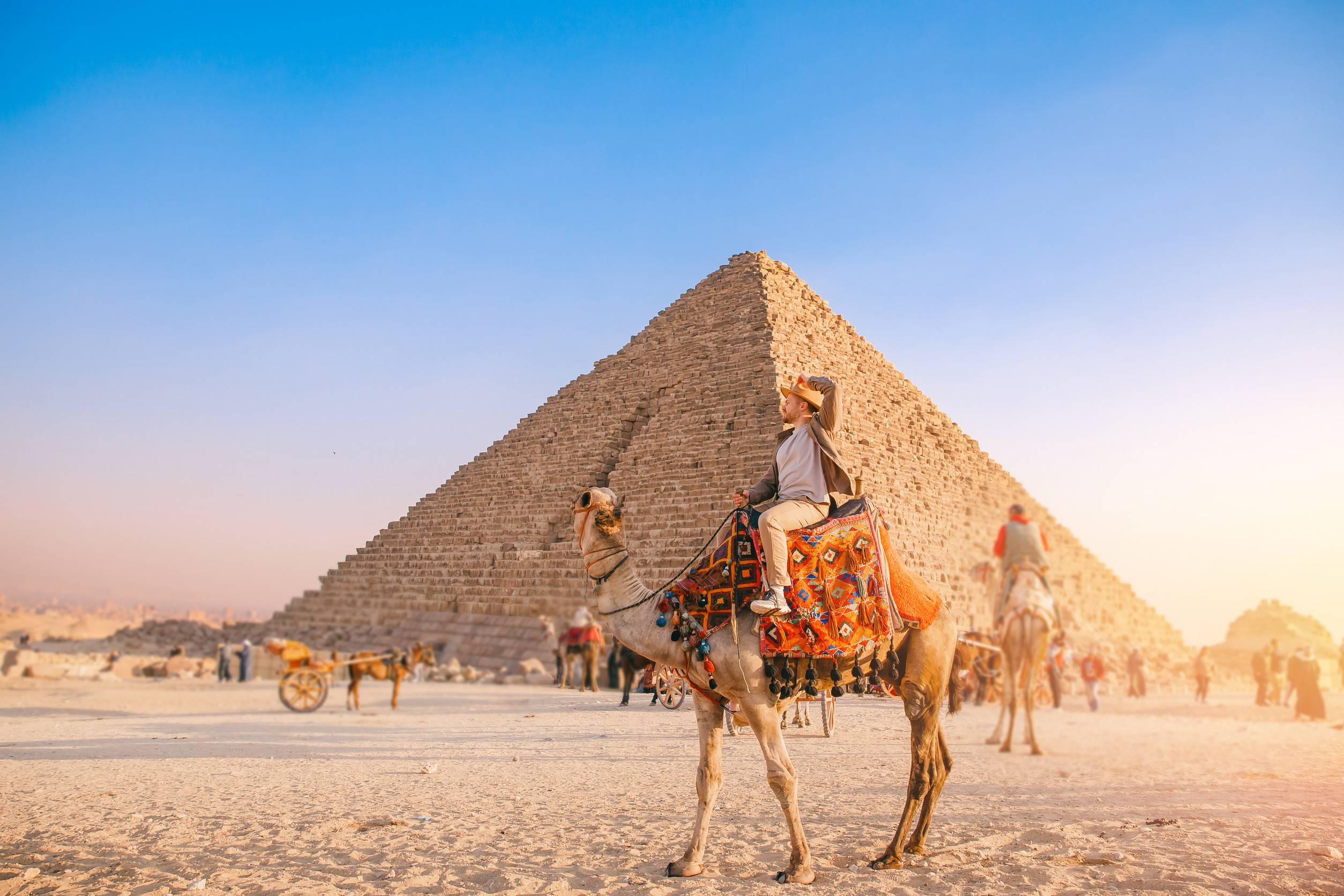 Tourist Camel riding near pyramid of Giza